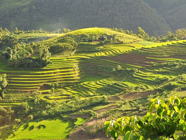 Sa Pa